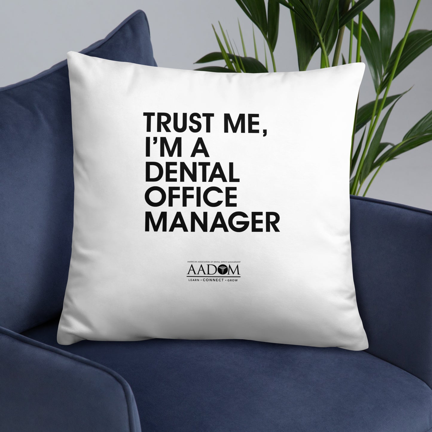 Basic Pillow - Trust Me